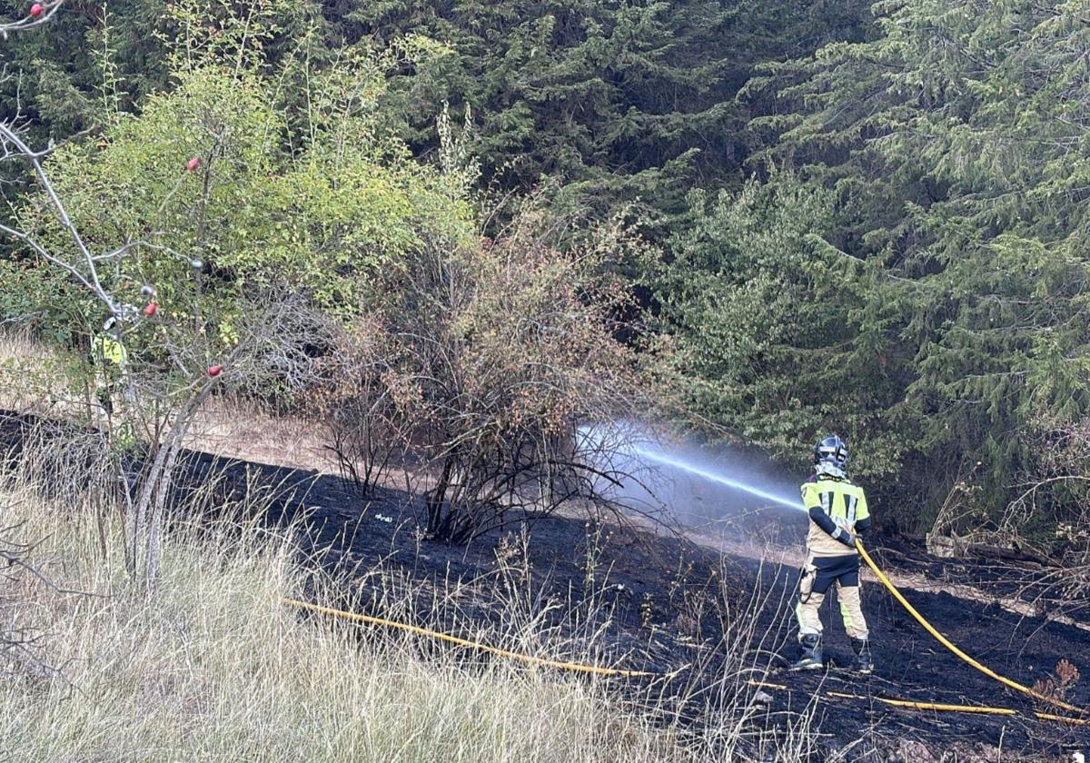 Identificadas varias personas por los incendios provocados en el Castillo de Burgos
