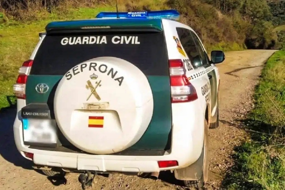 Investigan el ataque de dos perros peligrosos en Mojados
