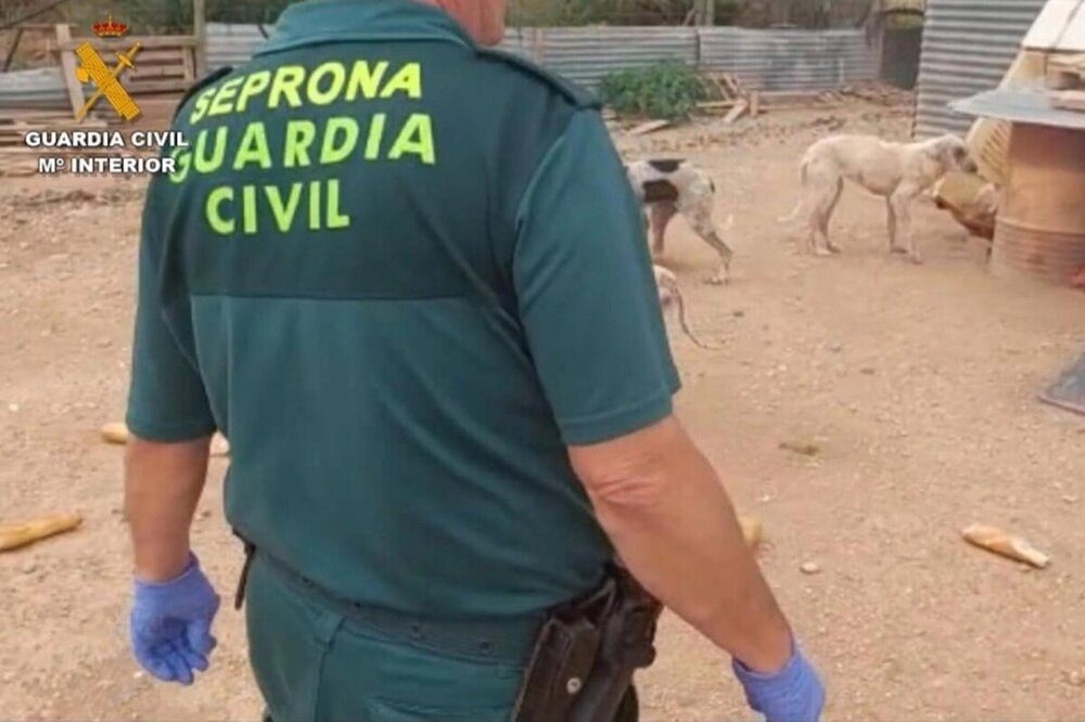 Investigan al dueño de un perro que atacó a una mujer