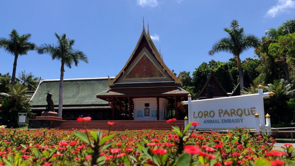 Loro Parque, en Tenerife.