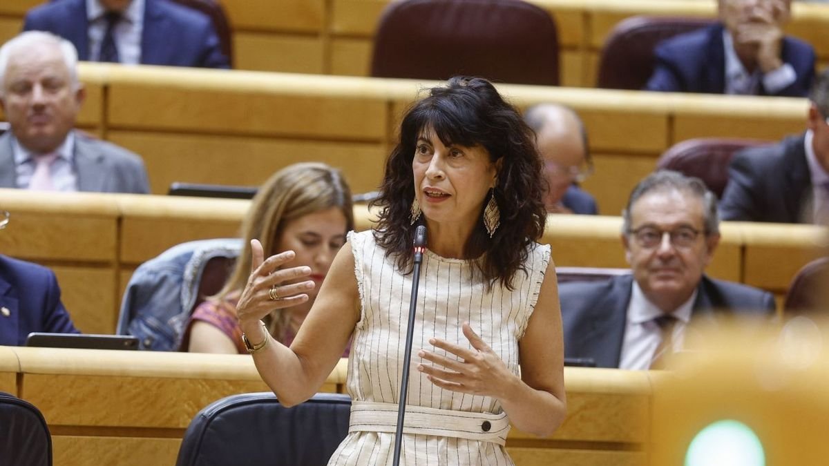 El Gobierno dice que las pulseras antimaltrato funcionan correctamente
