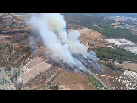 Declarado un nuevo incendio en Bonares (V&iacute;deo: Infoca)