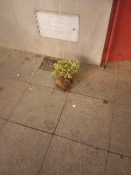 Actos vandálicos en Almonte. Fuente: Ayto. Almonte
