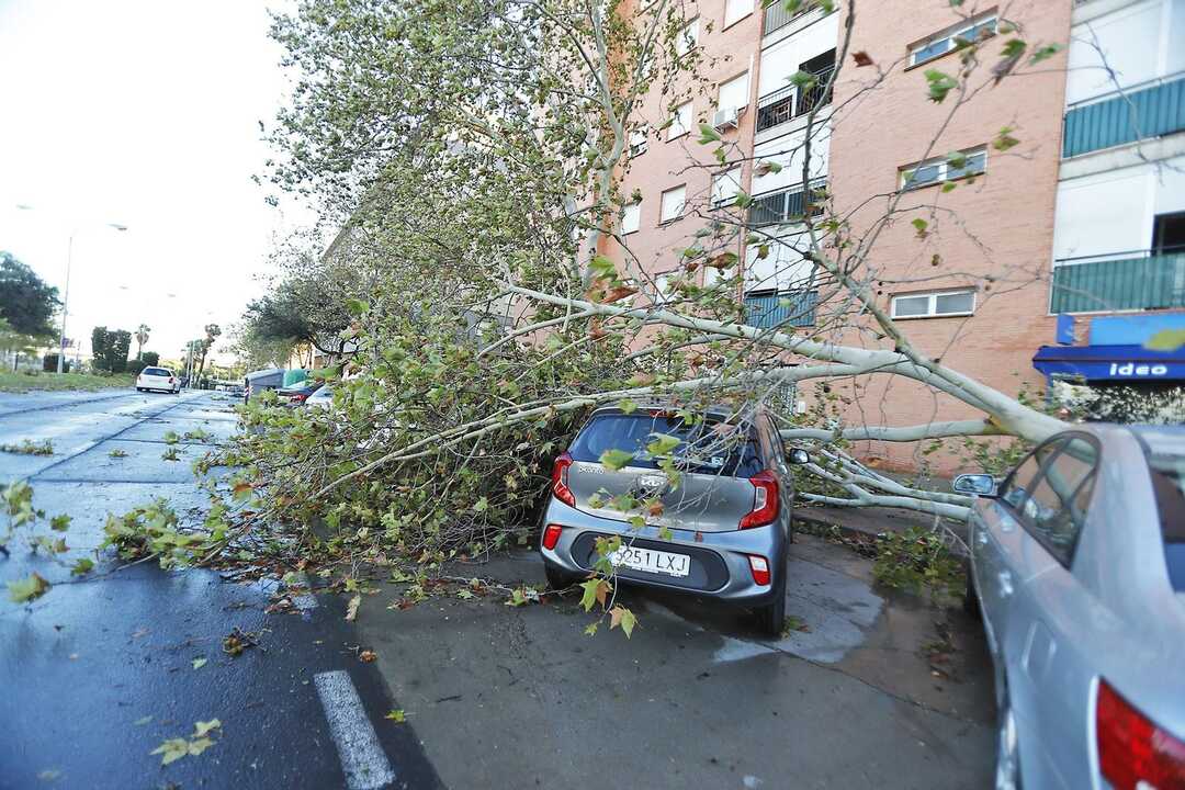 Bernard en Huelva. Fuente: X MeteoHuelva
