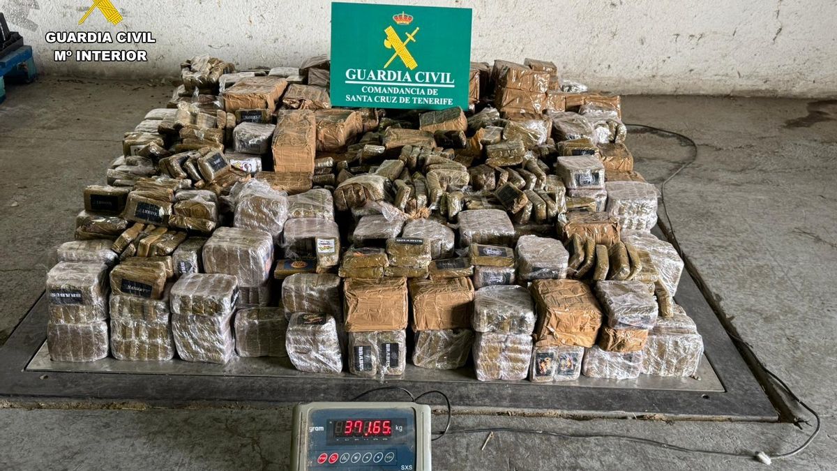 Fardos de hachís encontrados en la furgoneta.