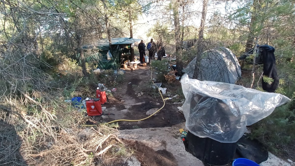 Desmantelan una plantación de marihuana con 2.000 plantas en un espacio natural protegido en Fulleda