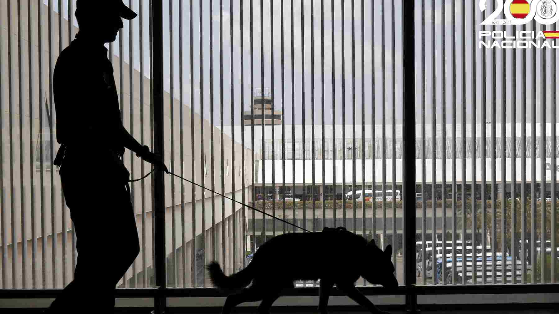 Detenido en Barcelona un hombre por robar un reloj de 56.000 euros en Palma tras un violento asalto en la Plaza de la Reina