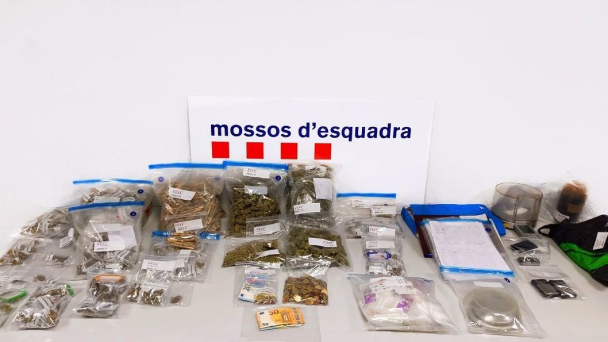 Tráfico en una asociación cannábica de Cervera