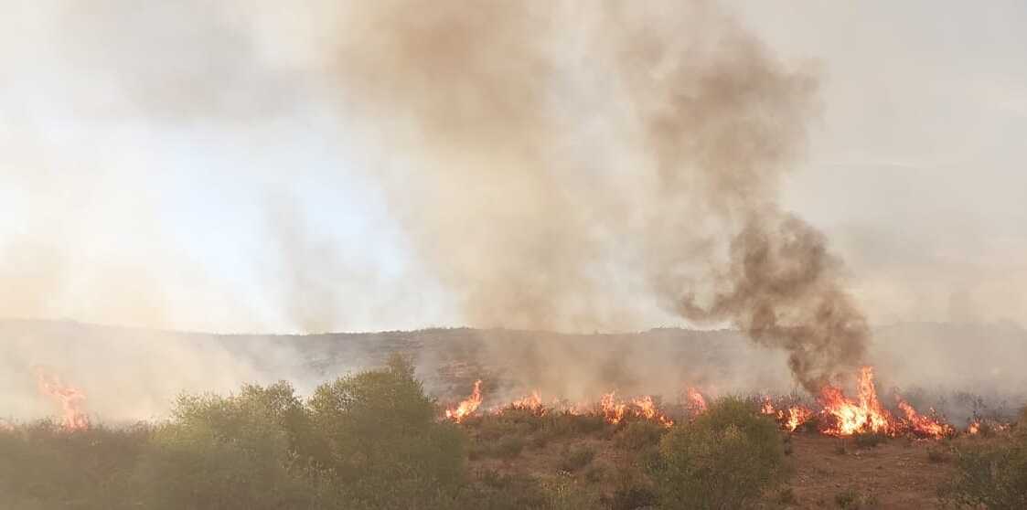 El incendio en El Castillo de las Guardas se estabiliza gracias a los esfuerzos del Plan Infoca