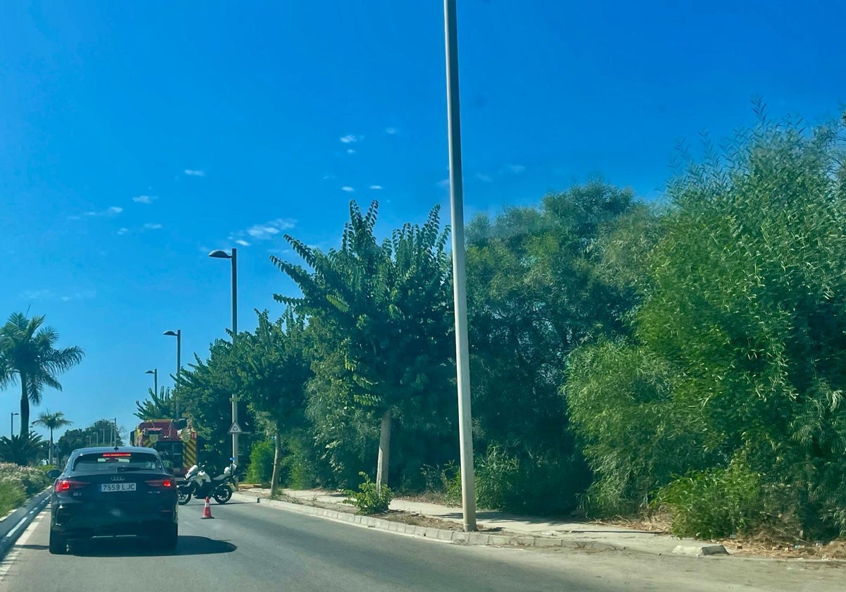 <p><strong>Incendio en Torre del Mar revela la precaria situación de chabolas en Casillas de la Vía y reaviva demandas a la Junta de Andalucía</strong></p>