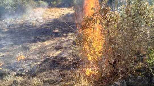 Alerta por un incendio forestal en el paraje de La Pedriza, en Cumbres de San Bartolomé