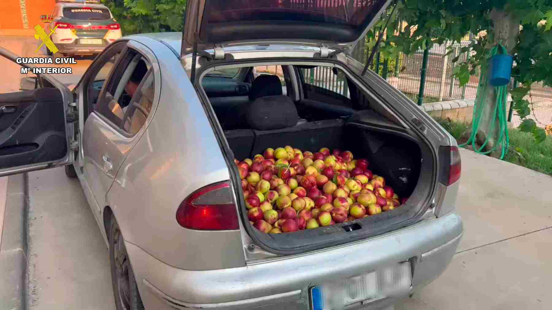 Investigado por hurto de fruta en La Rioja: interceptado con 140 kilos de nectarinas en su coche