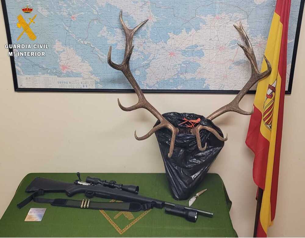 Investigan a un joven por caza ilegal de ciervos en Zarzuela del Pinar