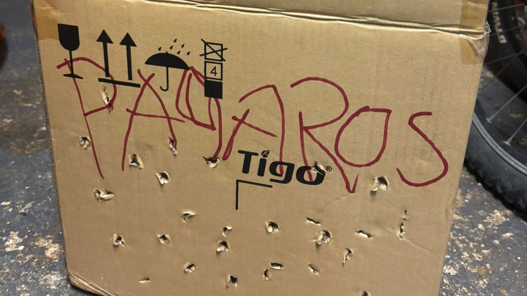 Diez de los 80 pájaros robados en Palma aparecen en una caja en una finca de Son Ferriol