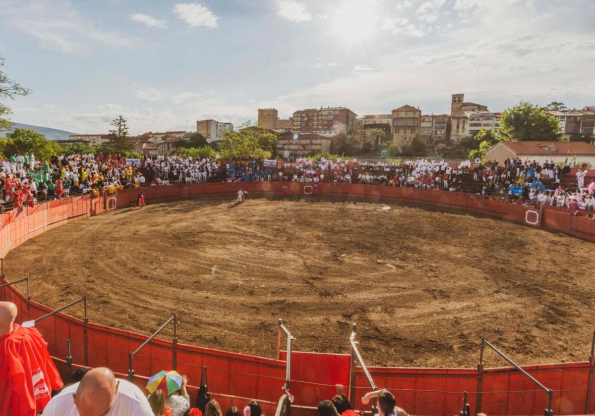 Se escapa una vaquilla en las fiestas de un pueblo de Burgos y hiere a un hombre en su huida
