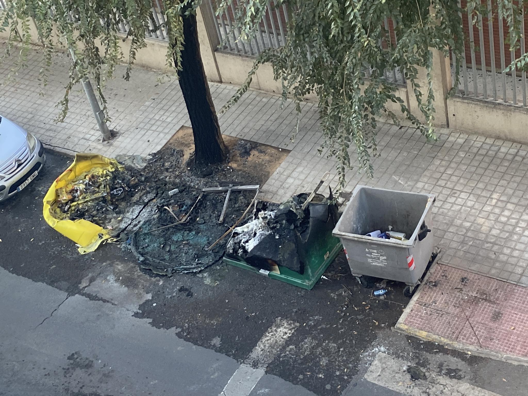 spot_img
