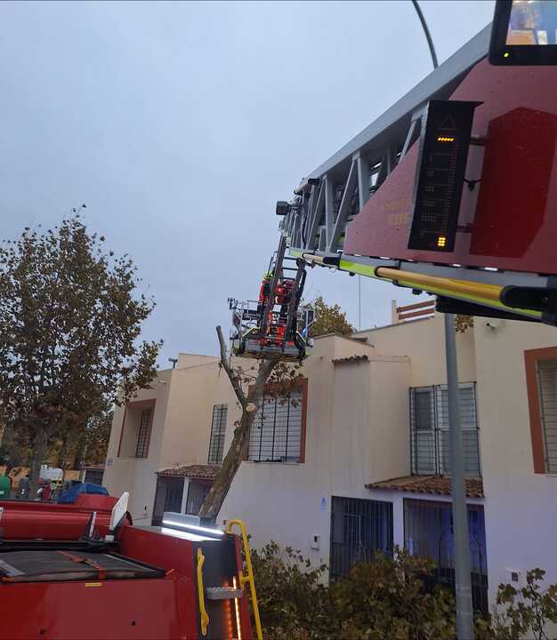 La borrasca Claudia provoca más de 65 incidencias en la provincia. Fuente: Diputación de Huelva