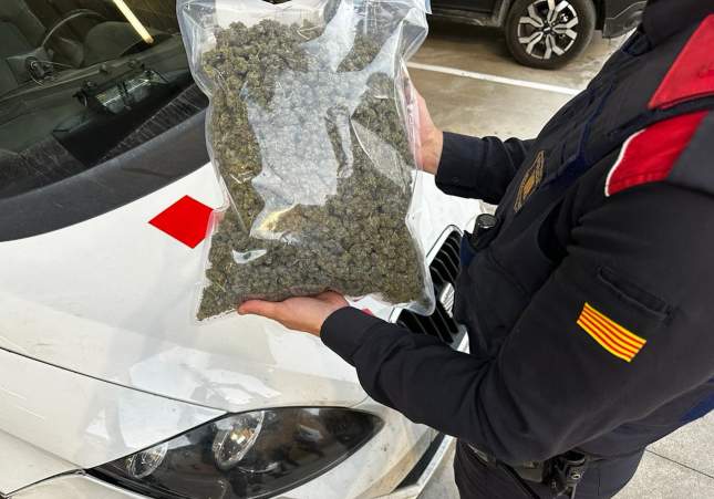 Desarticulada red internacional de tráfico de marihuana que enviaba droga desde Cataluña a Alemania