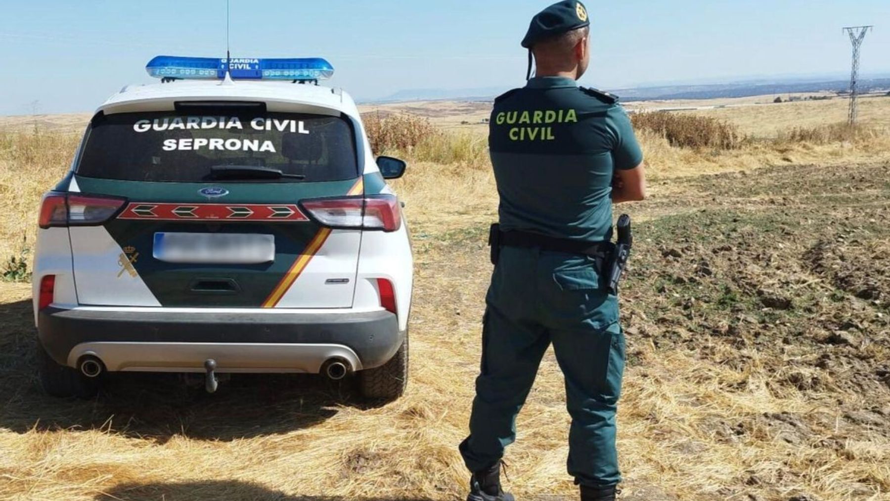 Hallan 27 perros muertos en un ferry procedente de Barcelona en el puerto de Palma