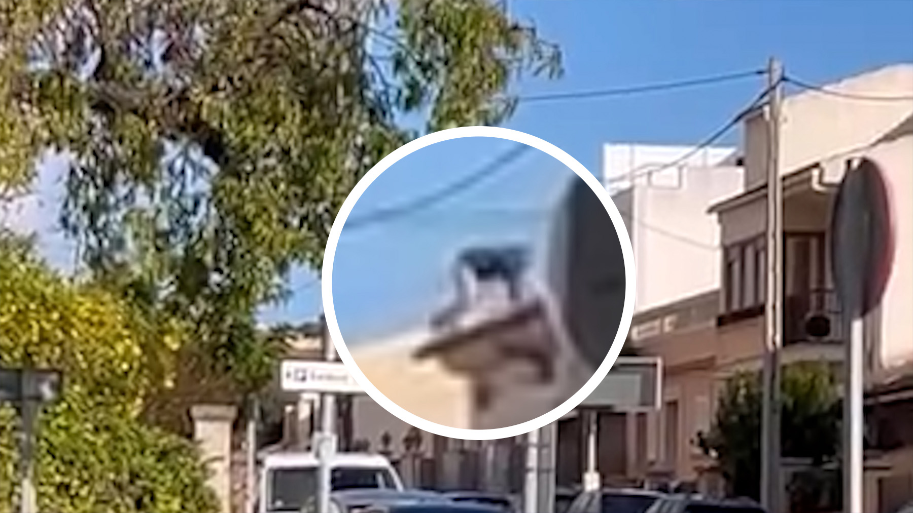 El ladrón ‘Spiderman’ siembra el pánico en Mallorca: vecinos lo graban trepando por fachadas en pleno día