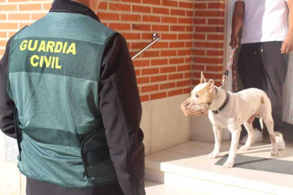 Investigado tras atacar su perro a otro en Mojados