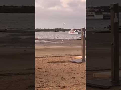 La Guardia Civil lanza disparos para evitar que los narcos arrollen a un agente