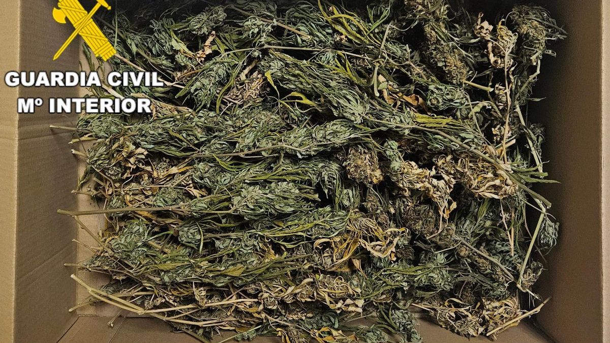 Pillado con medio kilo de marihuana en Toral de los Vados durante control de la Guardia Civil