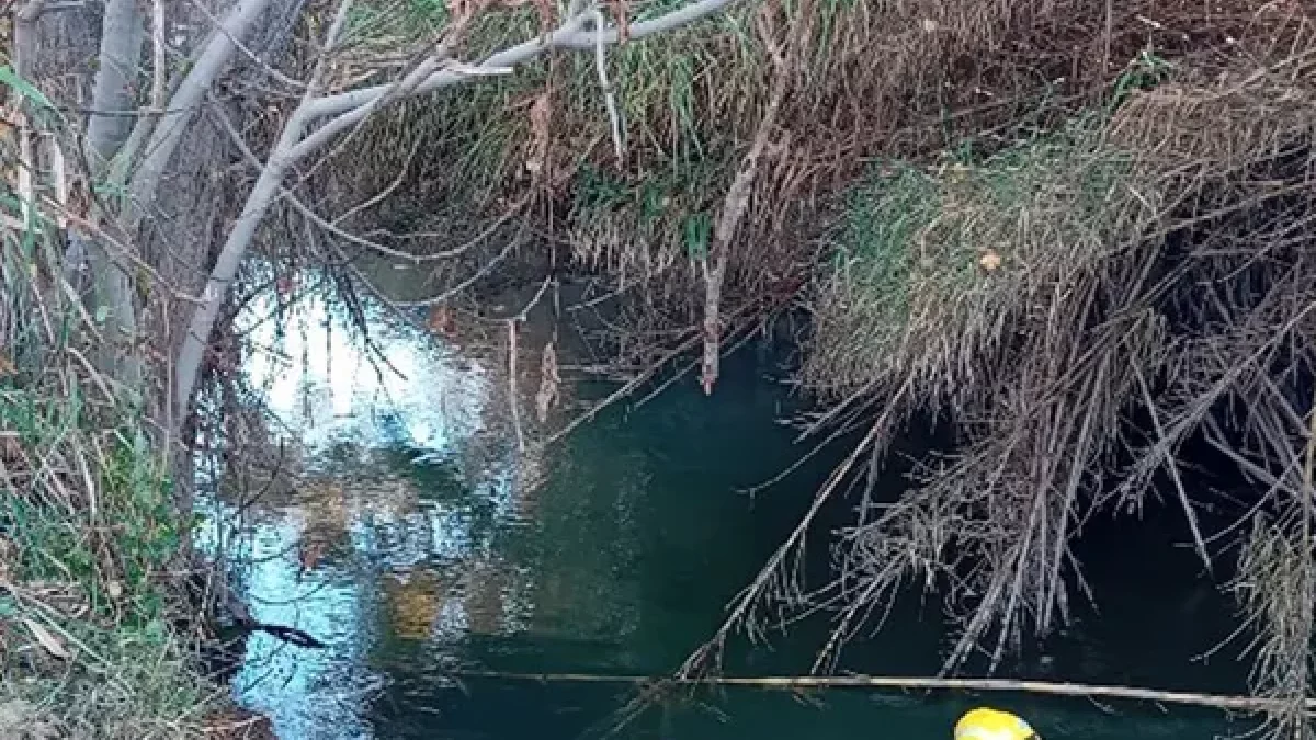 Rescatan a caballo que cayó al río Corb en Bellvís tras tres horas de operativo