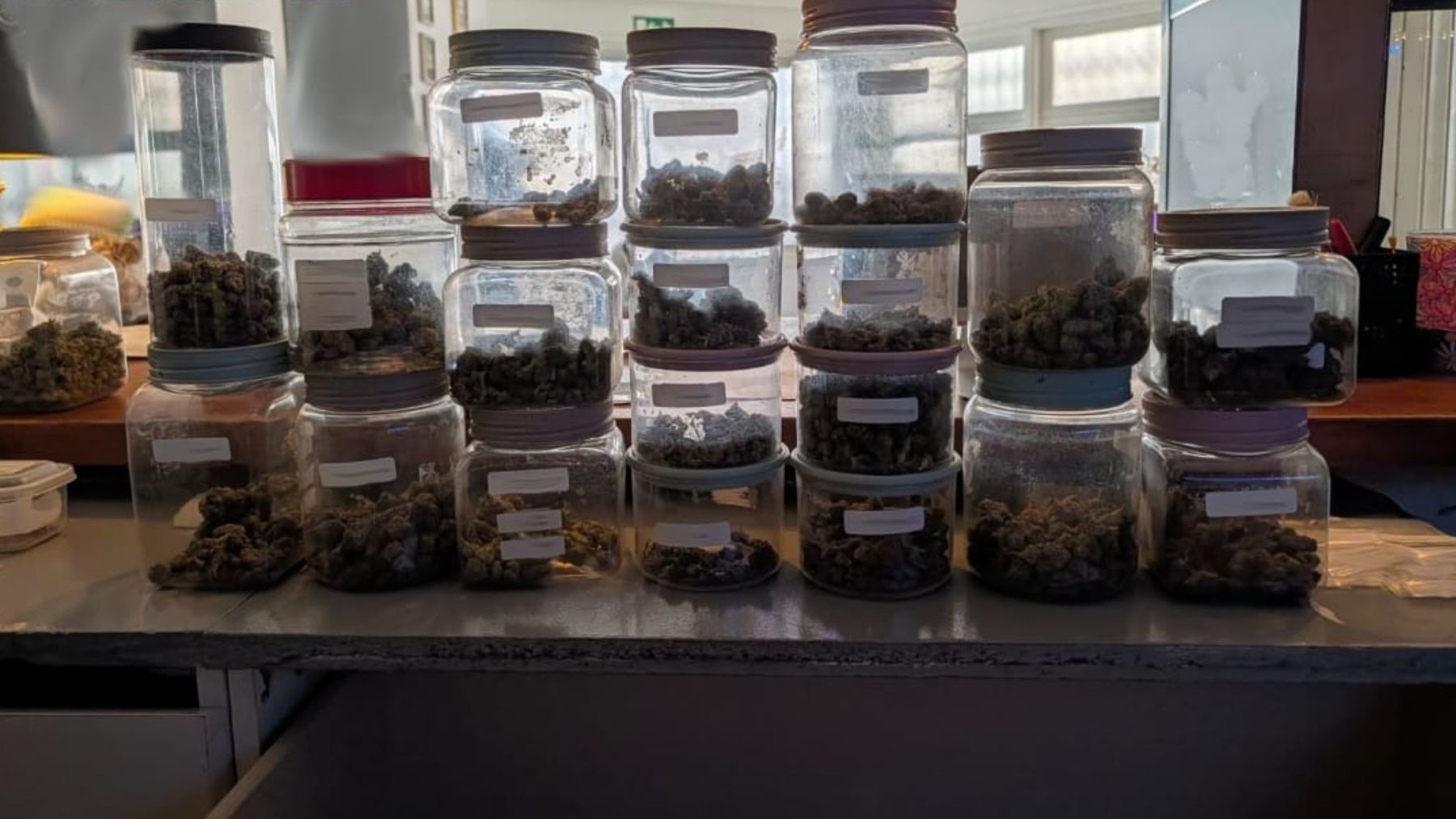 La asociación de la alegría: un supermercado de marihuana camuflado en Playa de Palma cae por fin