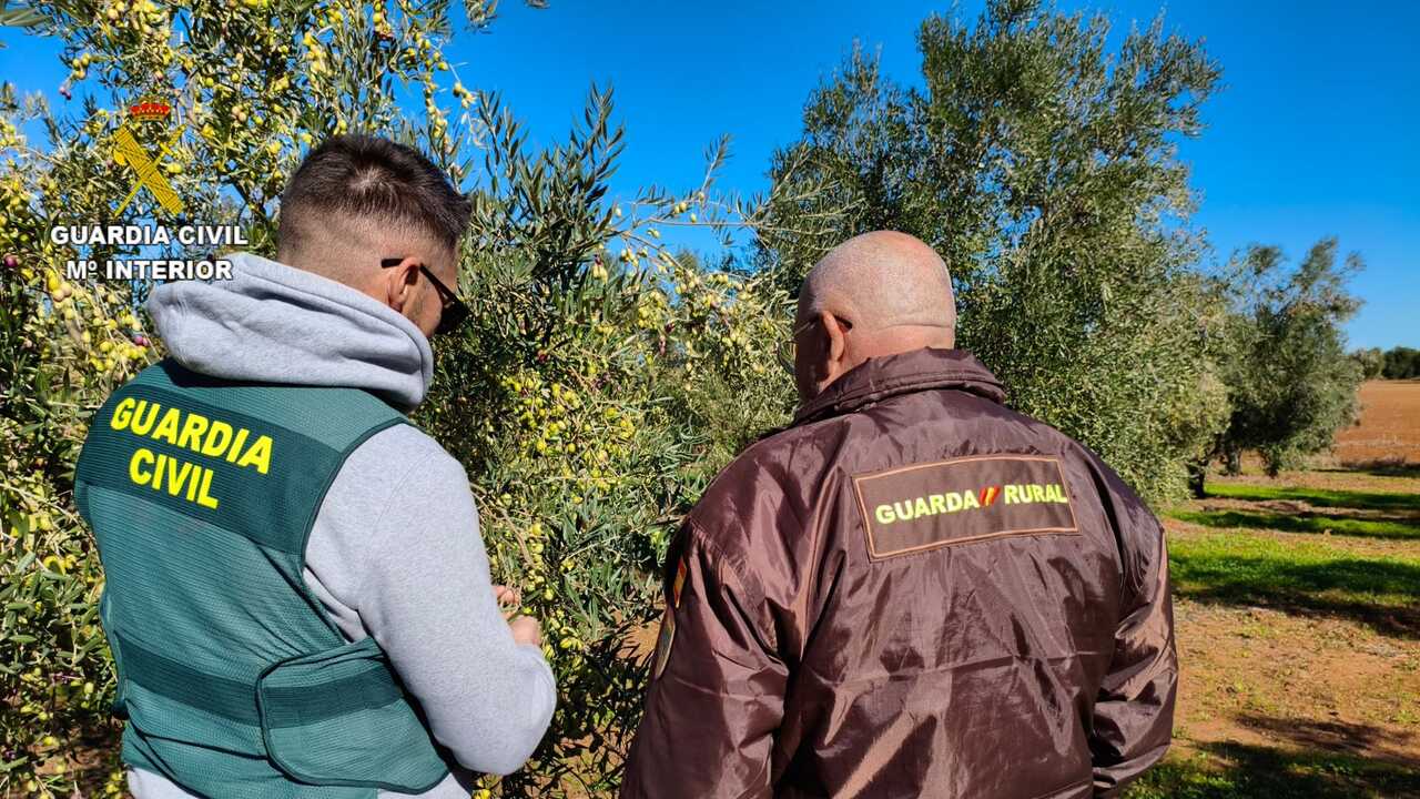 La Guardia Civil intensifica los controles en el campo onubense durante la campaña de la aceituna