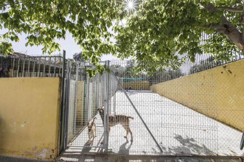 Herido en la cara y las manos un trabajador de una perrera