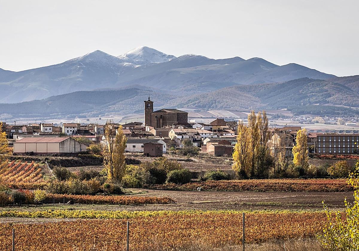 Trabajador fallece en accidente laboral en Azofra: séptimo caso en La Rioja en 2025