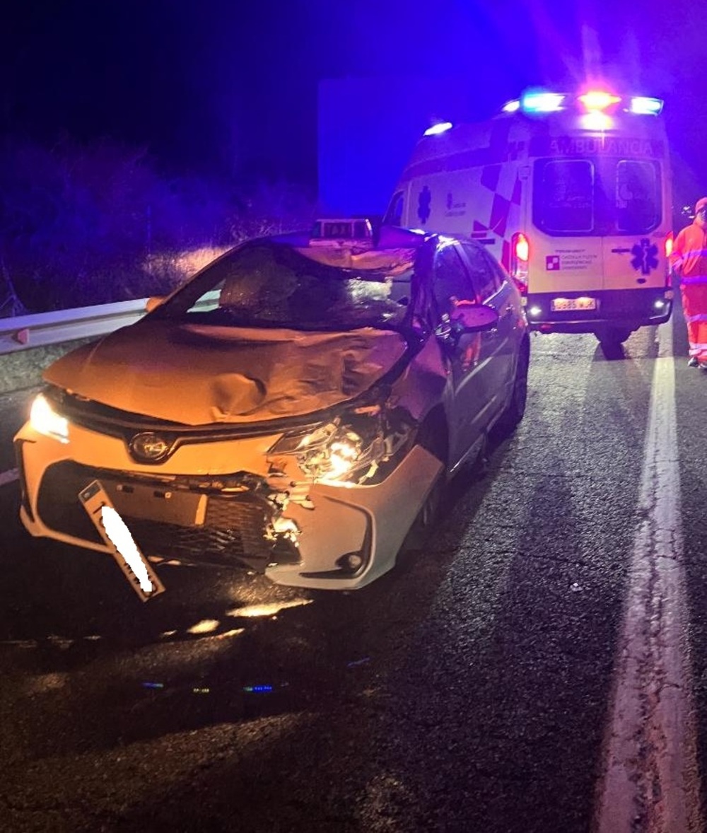 Herido tras chocar su coche contra una vaca en la N-603