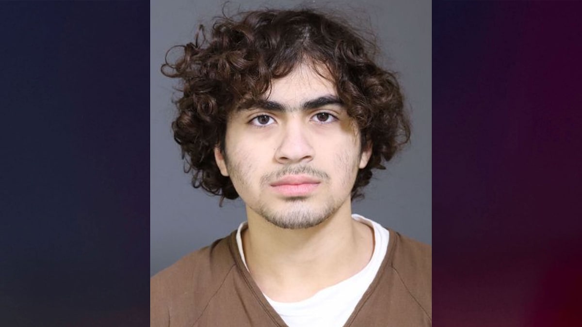 Boy pleads guilty to murder for stabbing his mom 46 times when he was 13