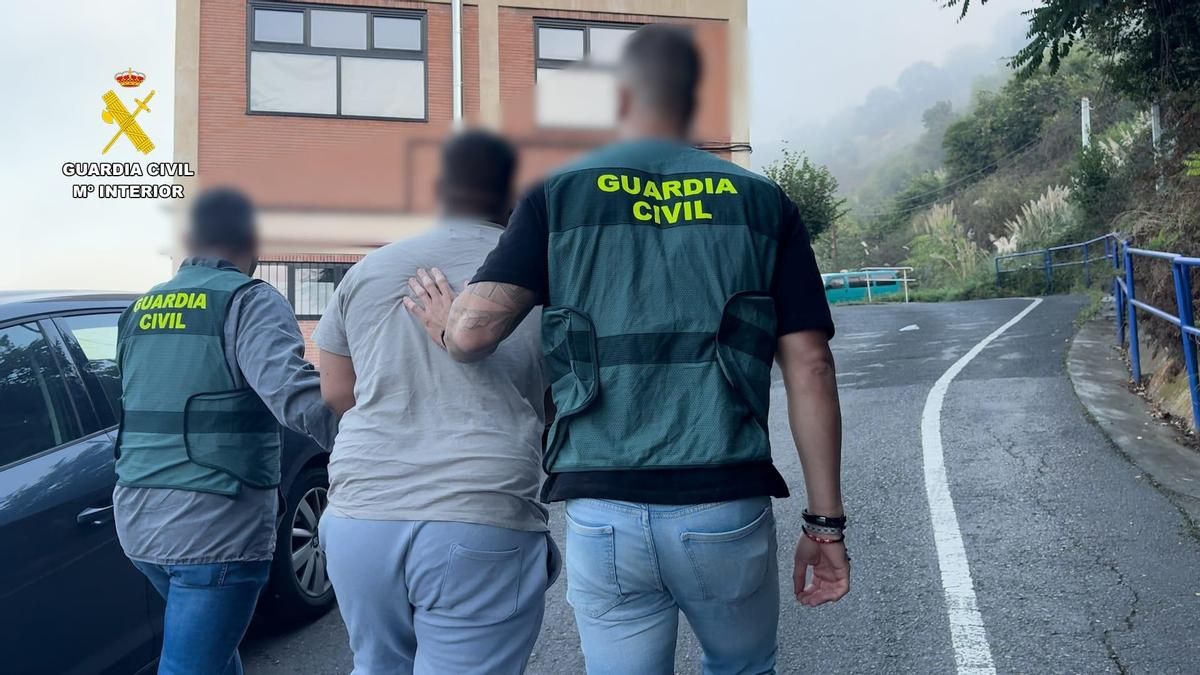 Desmantelan red criminal de estafas en adopción de mascotas: 19 detenidos y más de 100 víctimas identificadas