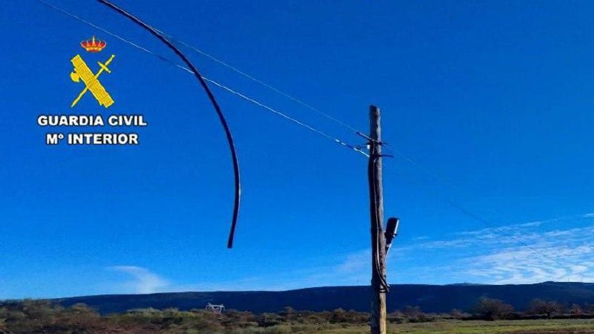 Parte del cableado telefónico sustraído en la localidad de Turienzo Castañero.