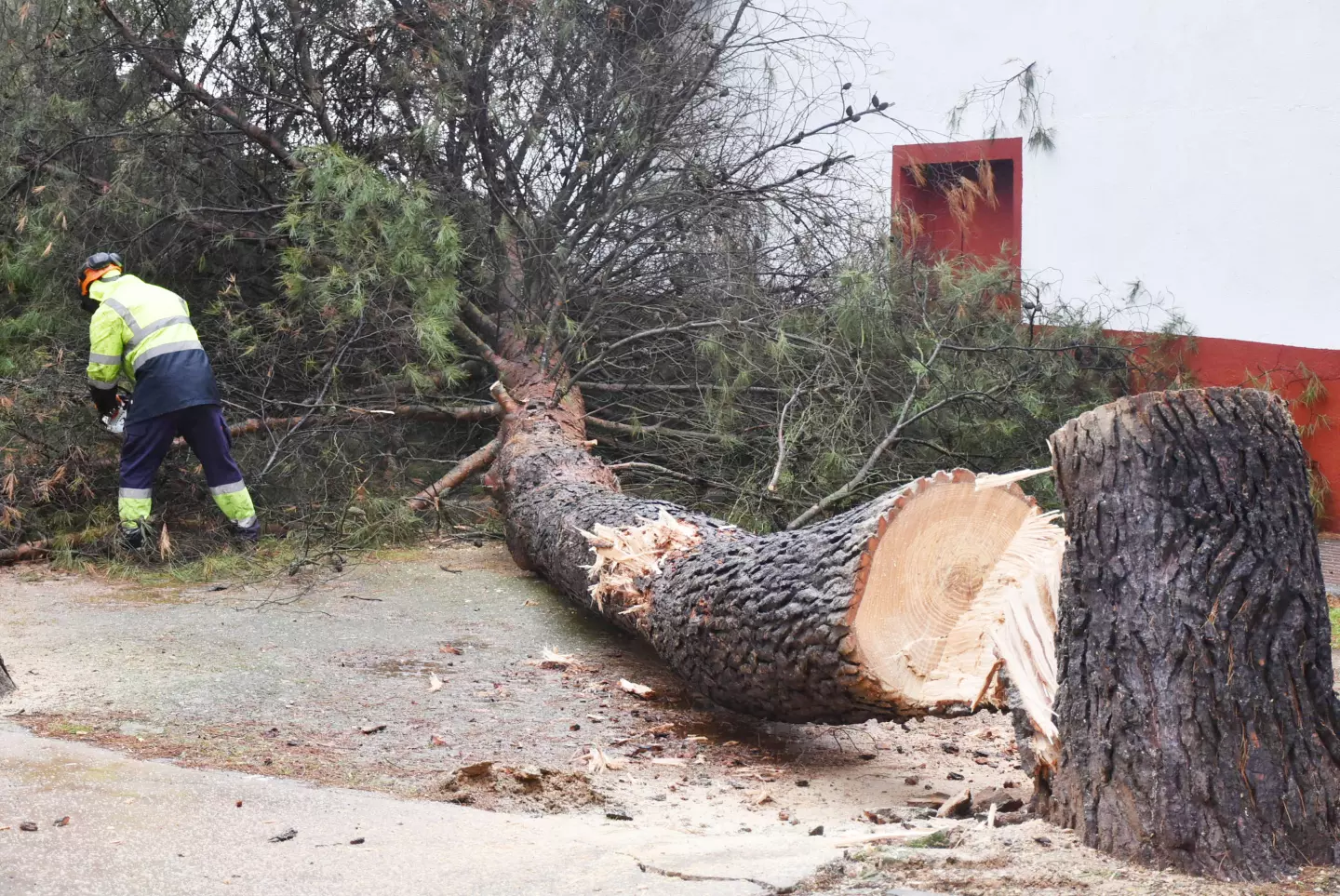 spot_img