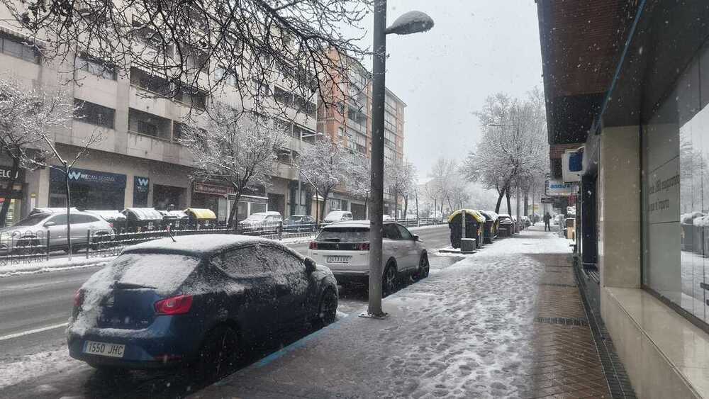 El Ayuntamiento pide no acudir a parques ni jardines