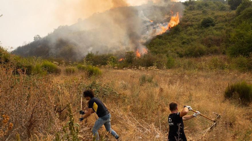 El fuego quemó 393.079 hectáreas en España en 2025, el 38% del territorio quemado en toda la UE