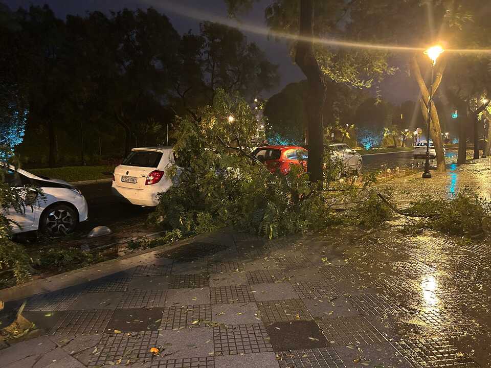 Caída de ramas de árboles en la Avenida de San Sebastián en Huelva. Fuente: E.M.