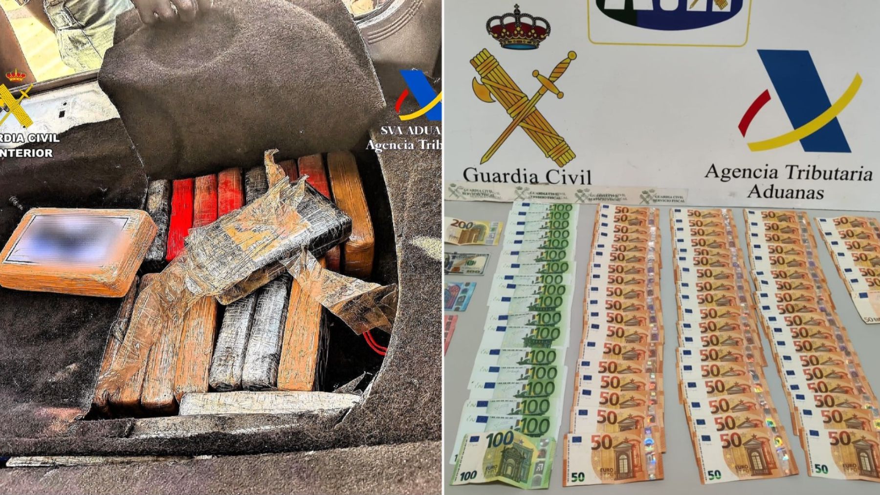Un perro detecta 44 kilos de cocaína ocultos en un vehículo en el puerto de Palma