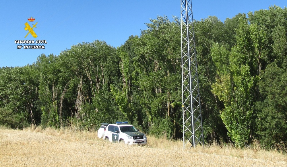 Investigado por un delito contra la fauna en Torquemada