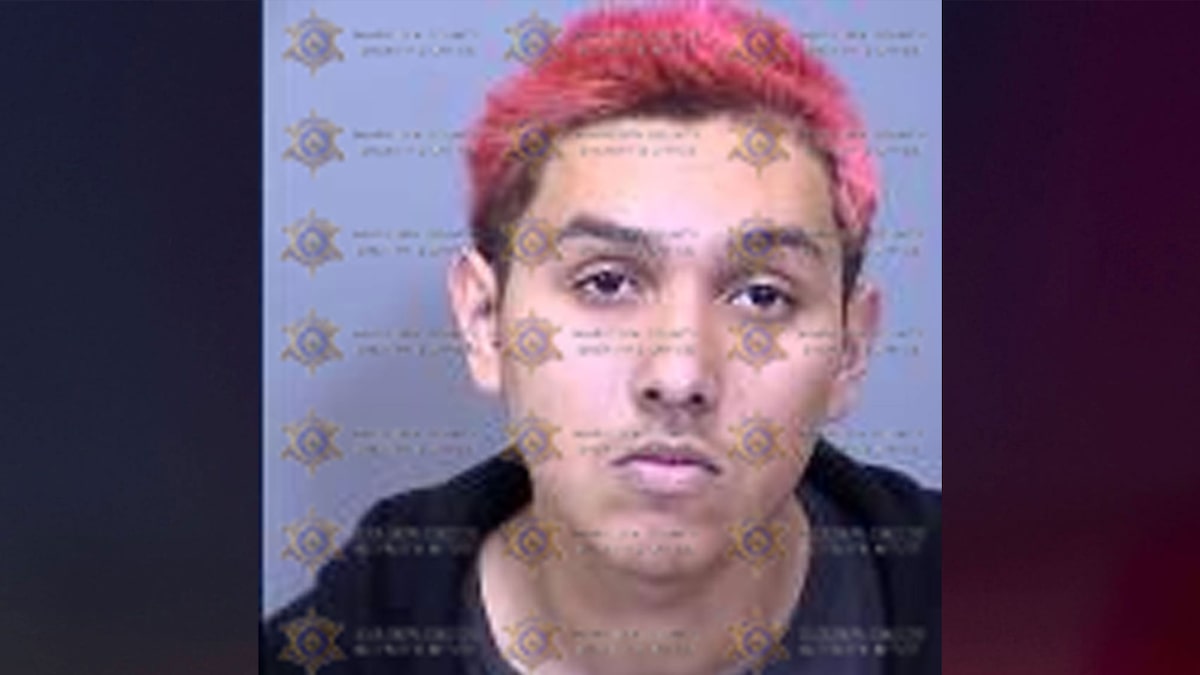 Teen allegedly broke into home, killed owner, then lived with corpse for weeks