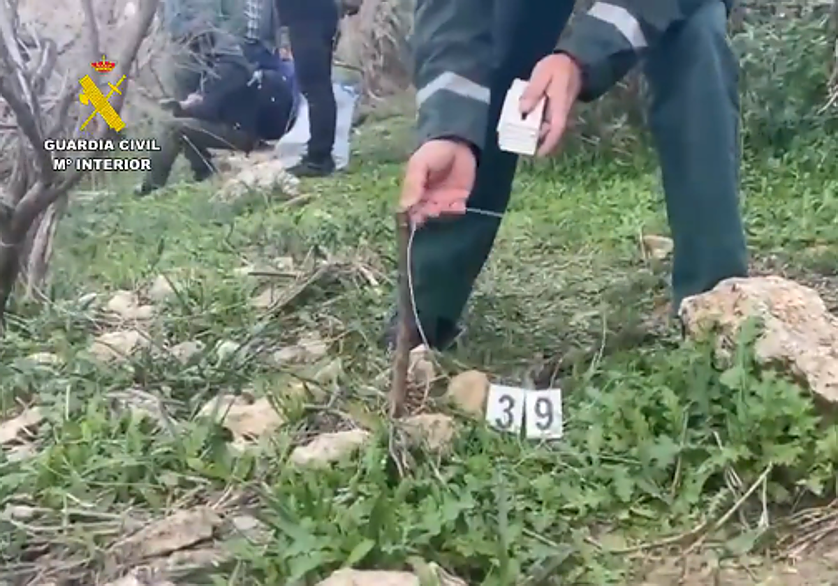 Operaciones ‘MALUM’ y ‘FAUNUS’ de la Guardia Civil en Málaga: 66 personas investigadas y 125 animales rescatados en la lucha contra el maltrato y la caza furtiva