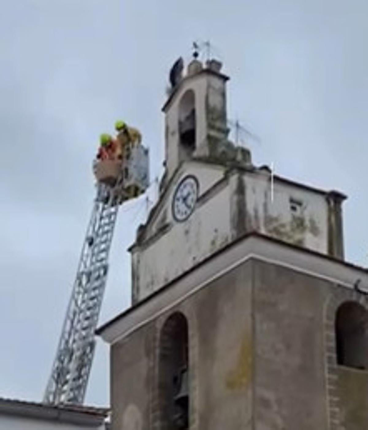 Los bomberos rescatan a una cigüeña atrapada en el campanario de Pescueza
