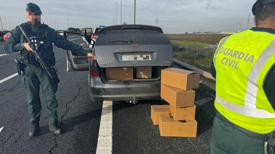 Pillan 900 plantas de marihuana en un vehículo en la A-49
