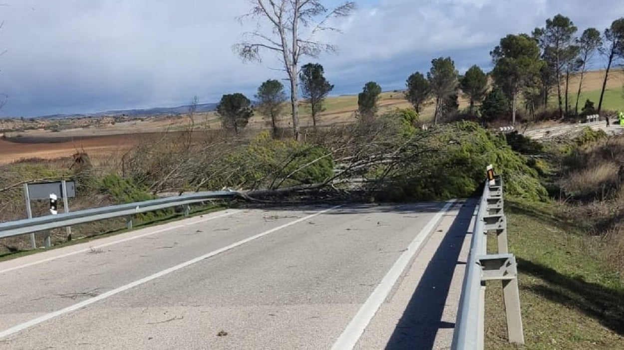 Árbol caído en la N-320 provoca corte de carretera en Alcocer por fuertes vientos