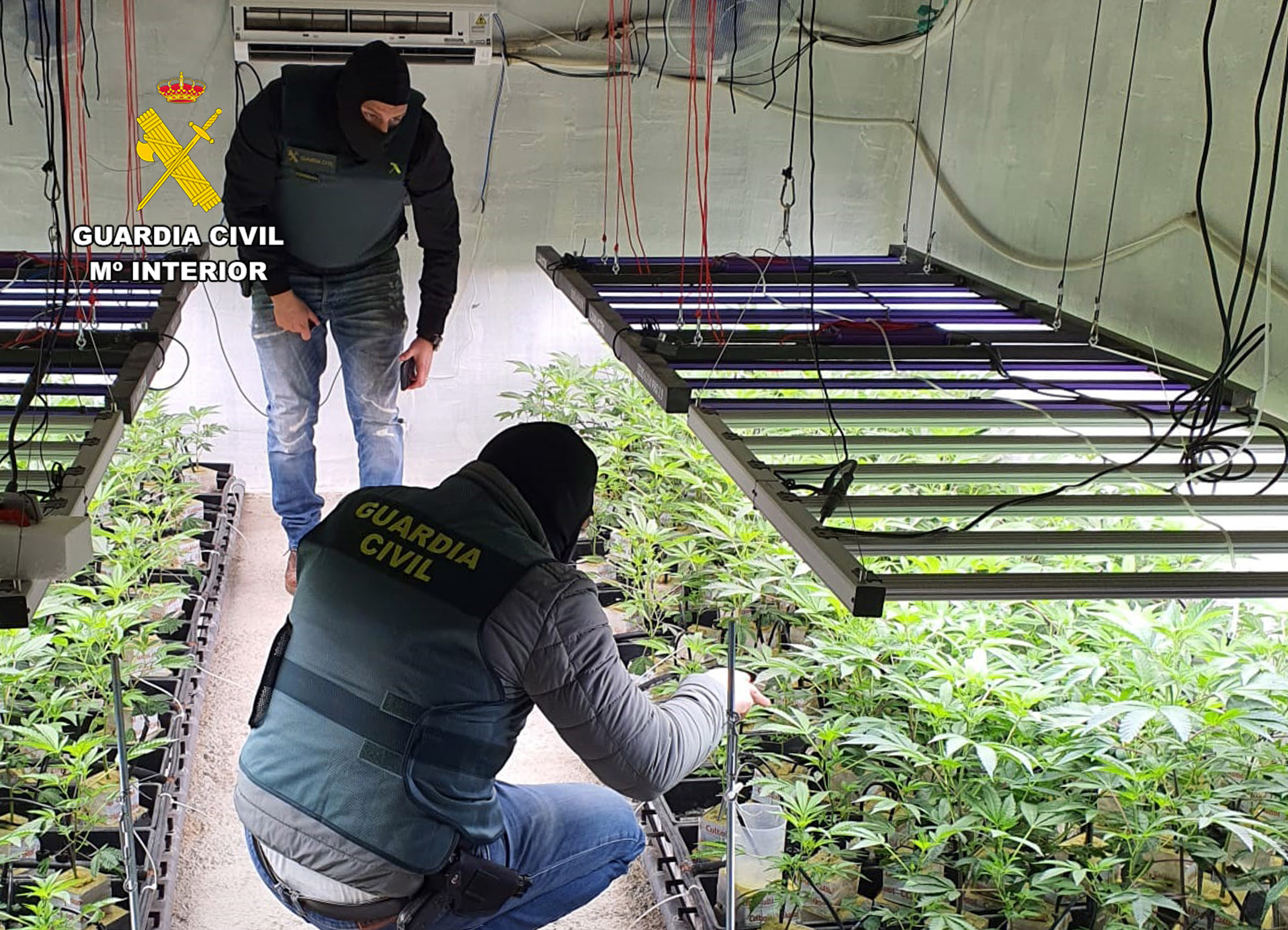 Desmantelan un invernadero subterráneo de marihuana bajo una vivienda en Sangonera la Seca
