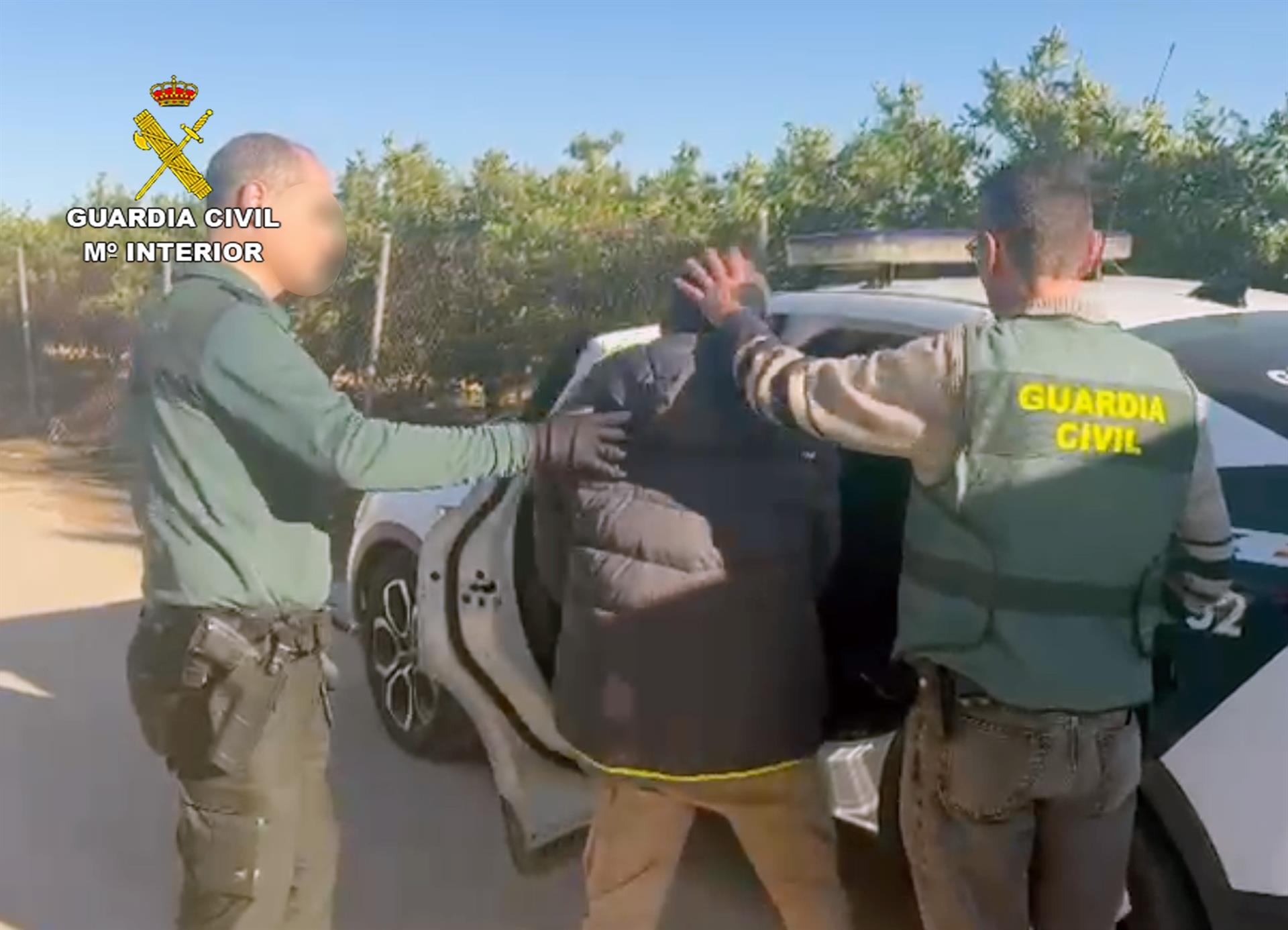 Una denuncia por violencia de género destapa una plantación de marihuana con 700 plantas en una finca de Murcia