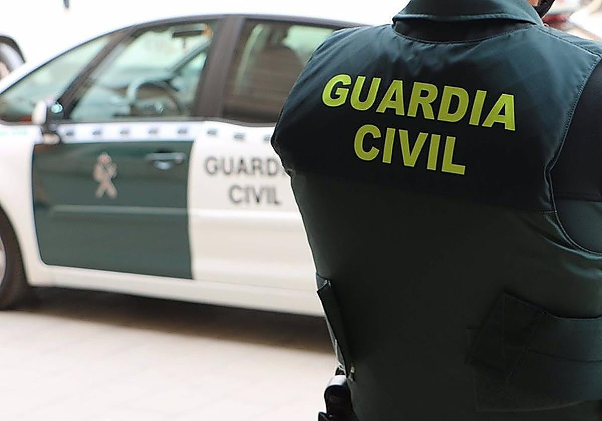 Detenidos tres hombres indios por robar y enviar amapola adormidera a Málaga